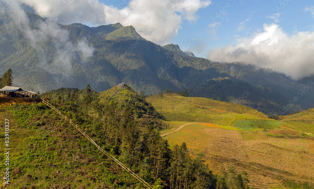 Naklejka premium terraced Vietnam Sa Pa - Cereal Plant, Landscape