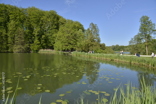 L'étang Solvay au printemps sous un ciel bleu 