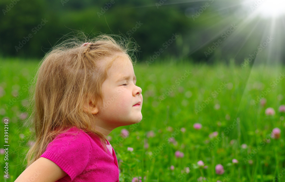 girl on the meadow girl on the meadow