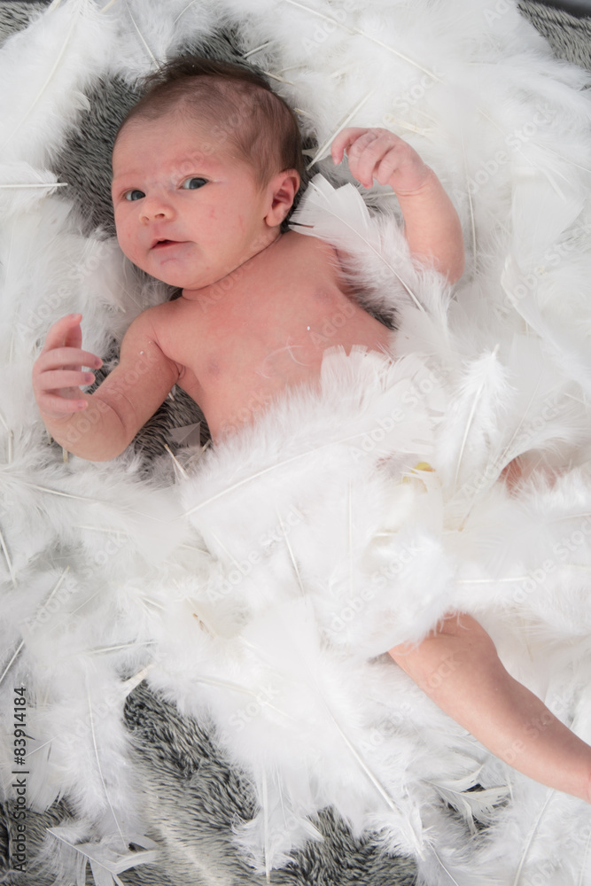 Lovely newborn baby sleeping in feather nest Lovely newborn baby sleeping in feather nest