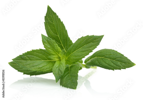 Mint Leaves