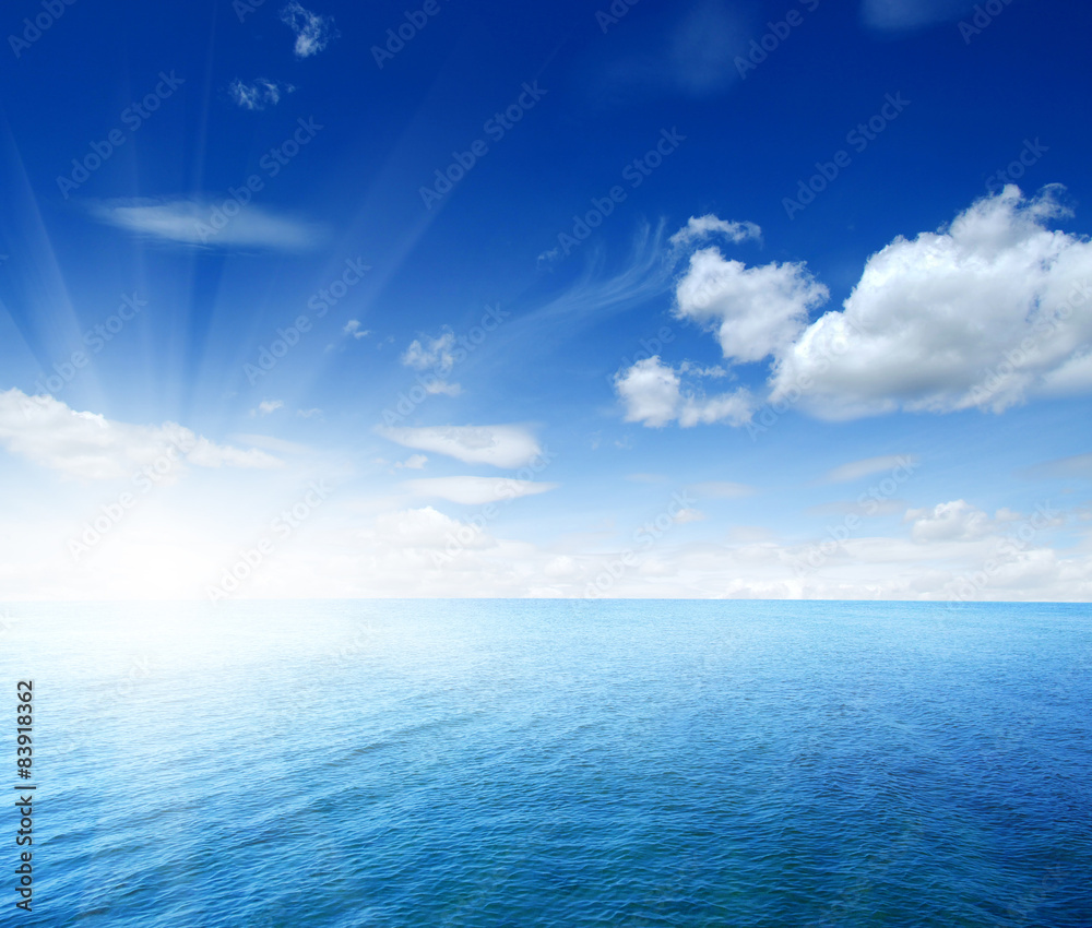 custom made wallpaper toronto digitalBlue sea