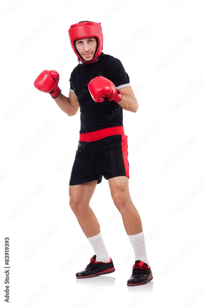 Funny boxer isolated on the white Funny boxer isolated on the white
