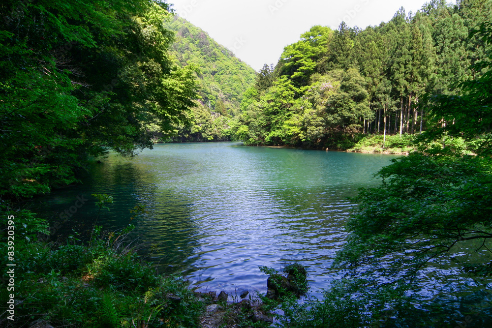 Fototapeta premium 奥多摩