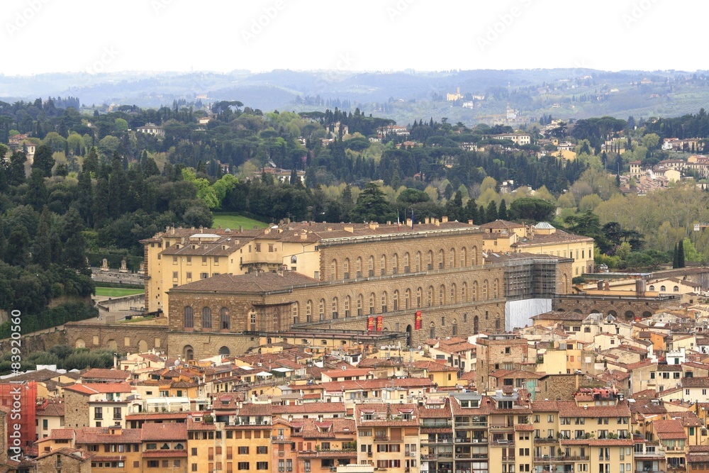 Part of the Florence with Tuscany landscape in background