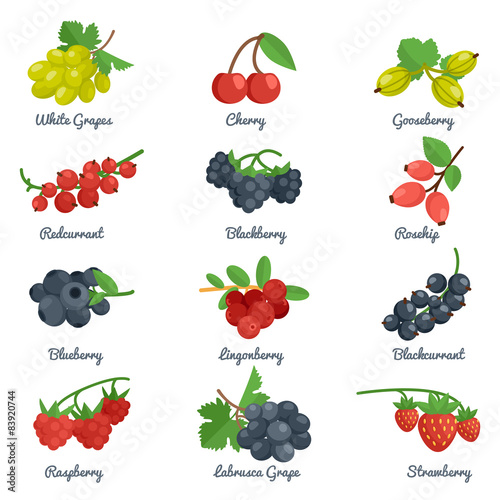 Berries Flat Icons Set
