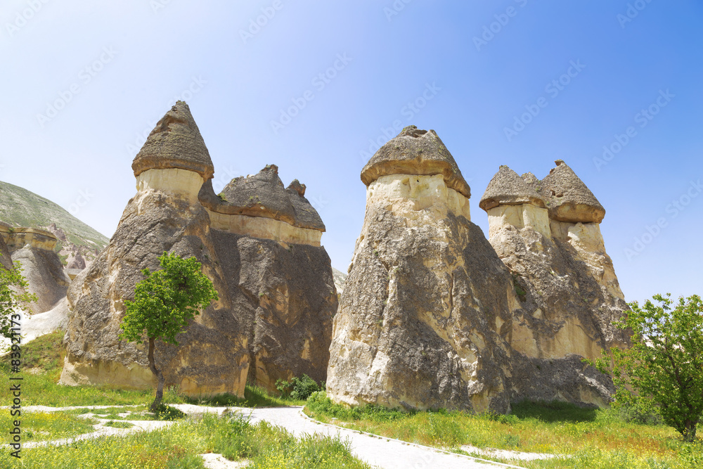 Valley mushrooms in Cappadocia, Turkey