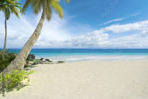 Empty tropical beach