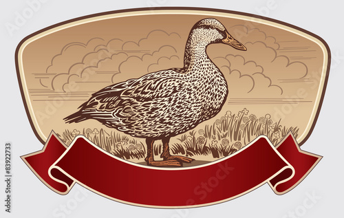 Illustration duck in graphic style in the label.