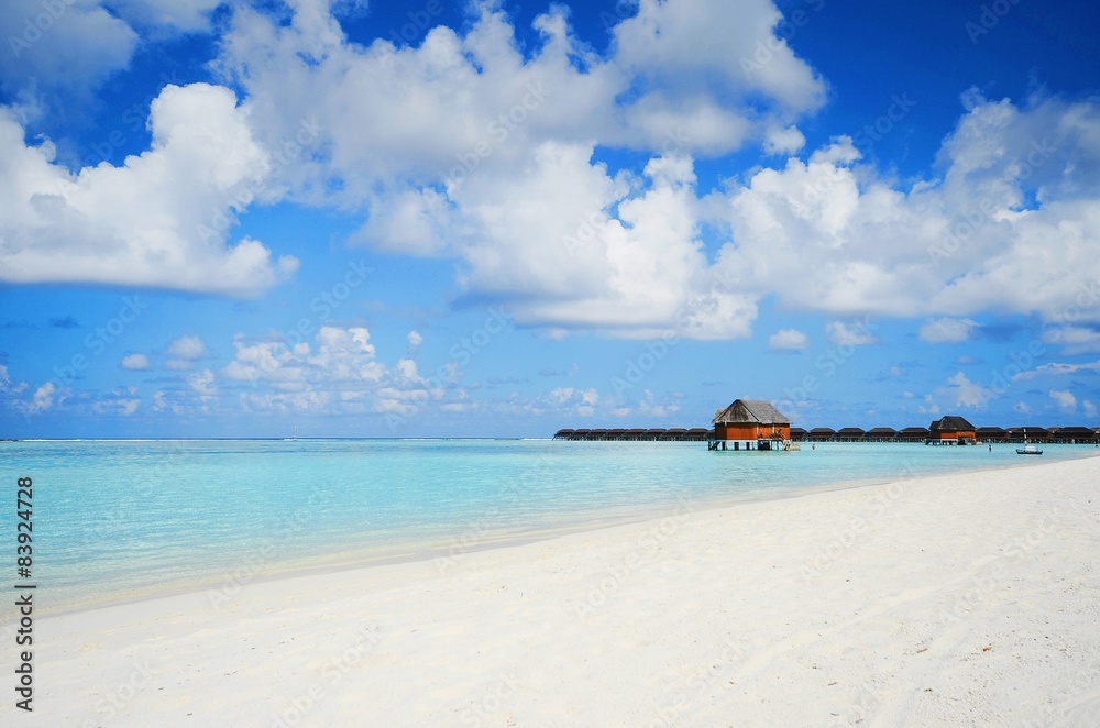 Obraz premium the beach