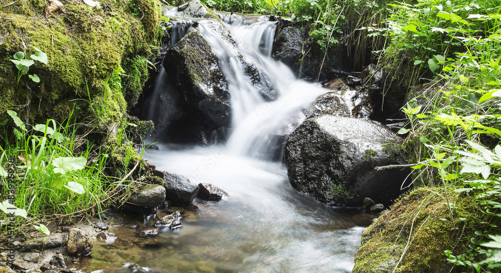 Obraz premium Wild Creek Waterfall in the Forest with Green Vegetation