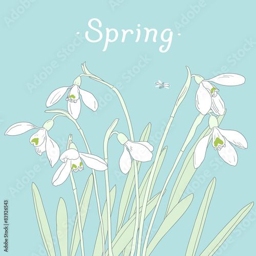 Snowdrops spring bouquet. Hand-drawn vector illustration. Card,