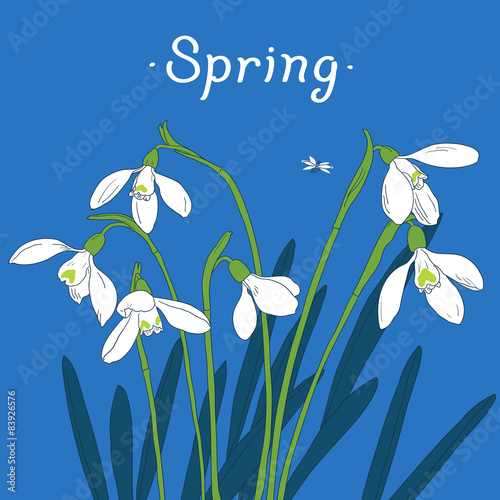 Snowdrops spring bouquet. Hand-drawn vector illustration. Card,