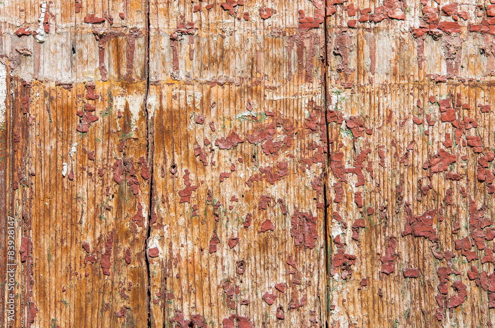 Part of the old wooden door with paint crumbles on it.
