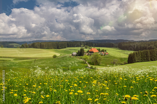 Fallerhof Schwarzwald