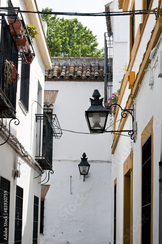 The walls of houses in the narrow street in Cordoba, Spain