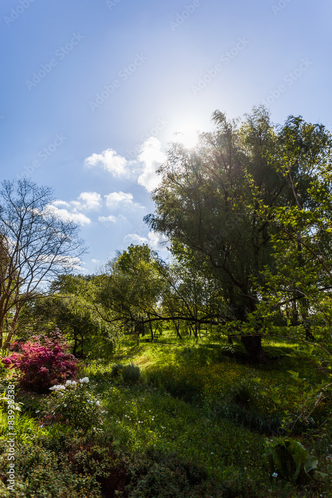 Obraz premium Park in Rostock