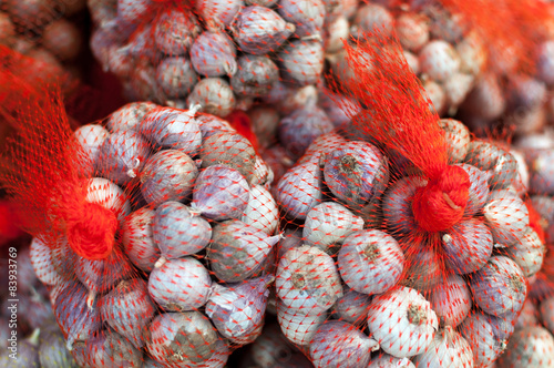 Garlic in the net at the crocery for sell photo