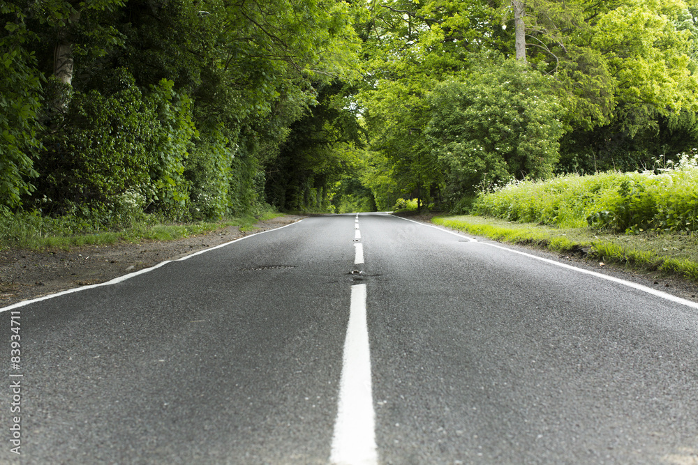 Obraz premium Country lane