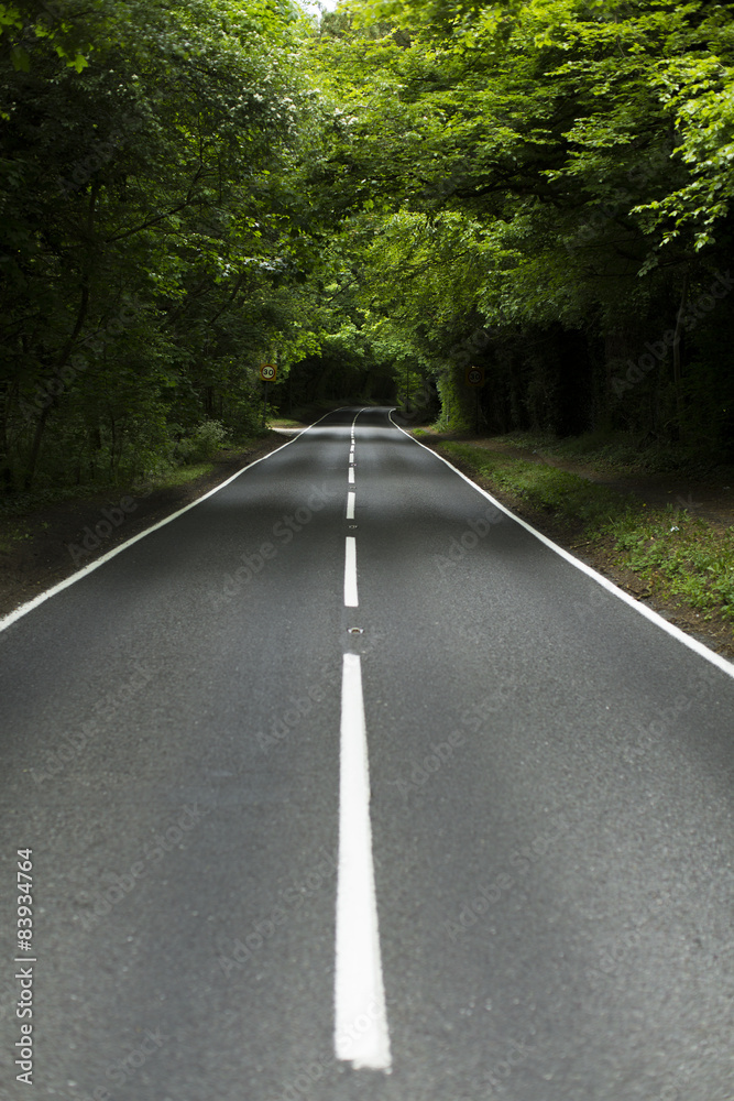 Obraz premium Country lane surrounded by forests