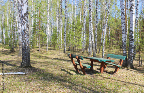 Picnic area in the forest glade