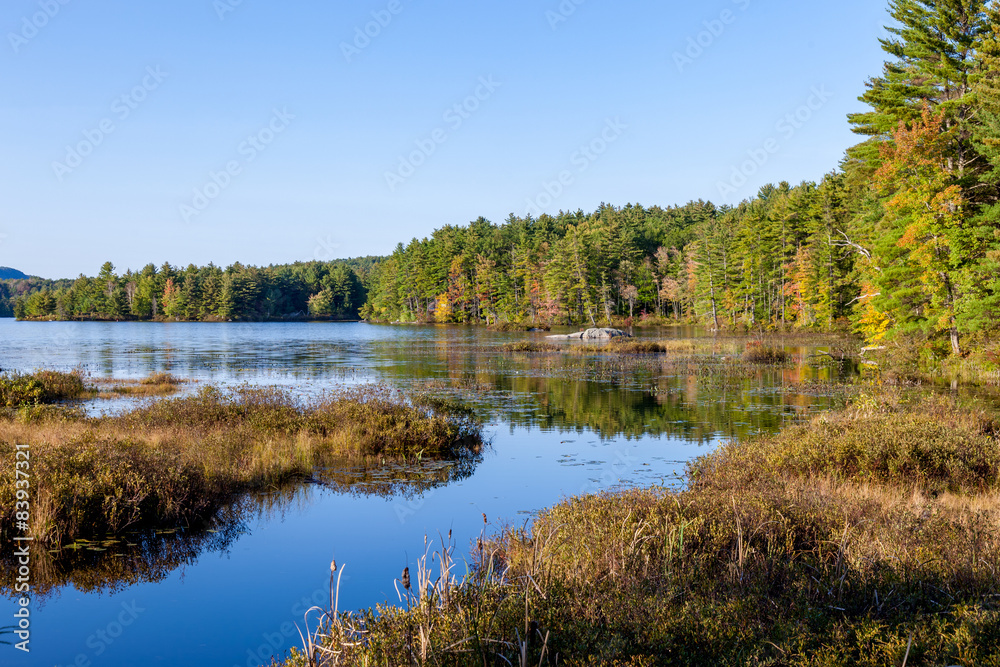 Canadian lake landscape