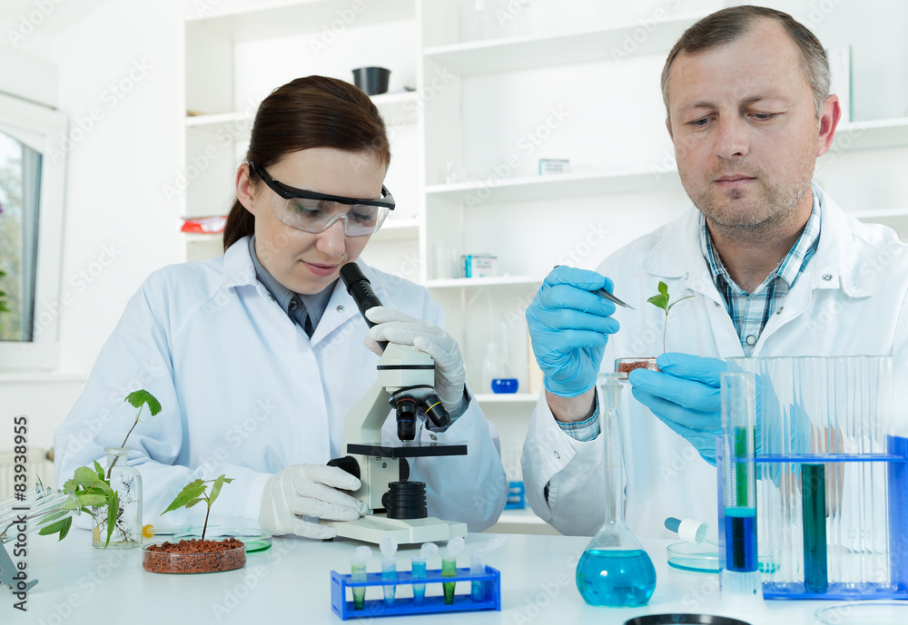 Team of scientists in a laboratory working on chemical testing Team of scientists in a laboratory working on chemical testing