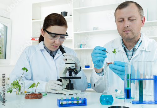 Team of scientists in a laboratory working on chemical testing