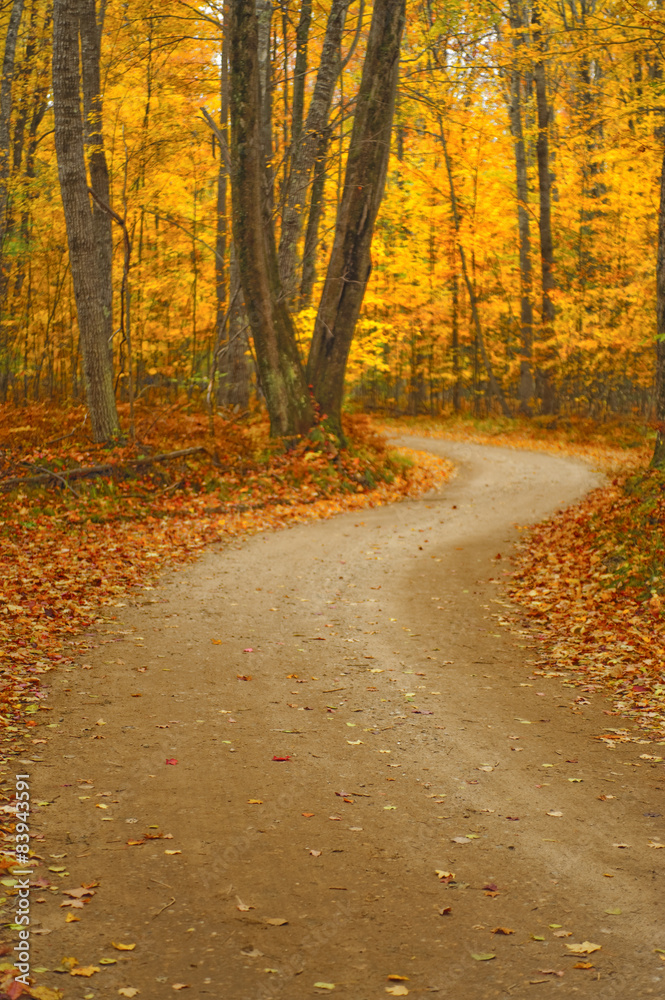 Fototapeta premium The Long Winding Road