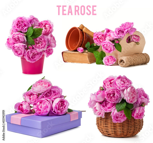 mix tea rose and garden tools isolated