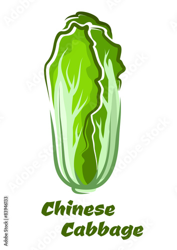 Chinese cabbage vegetable with crinkly leaves