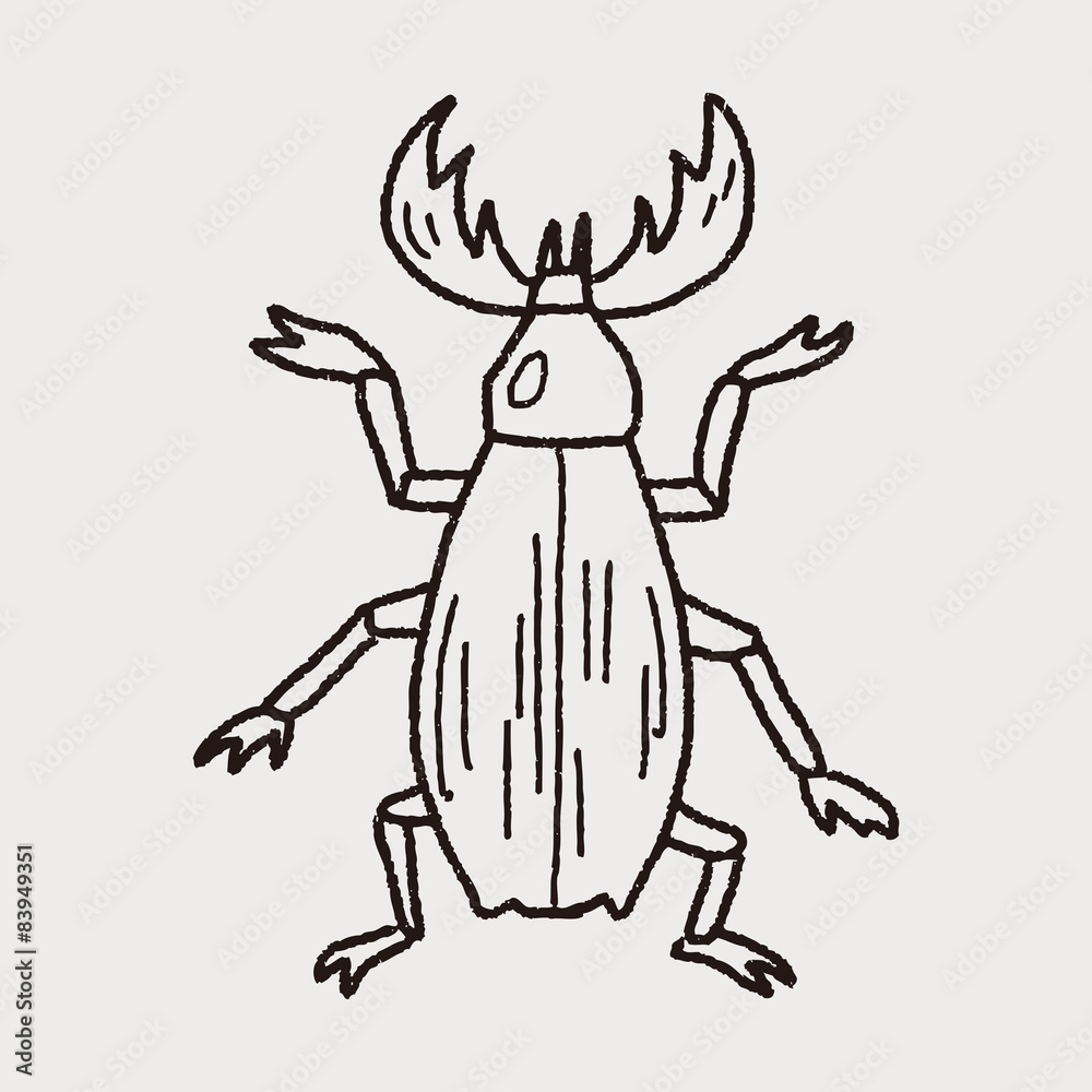 Fototapeta premium beetle doodle
