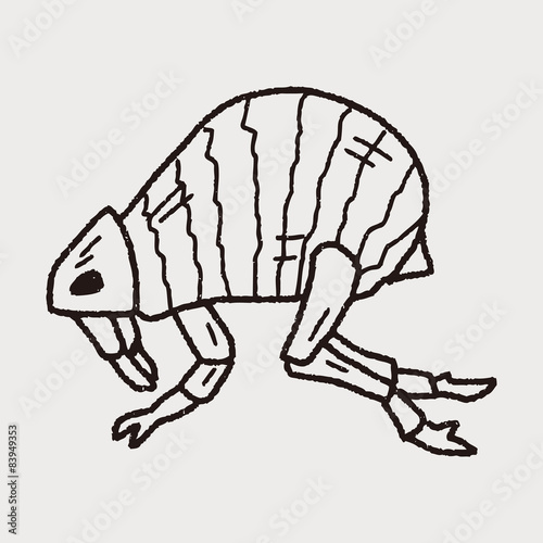Flea doodle
