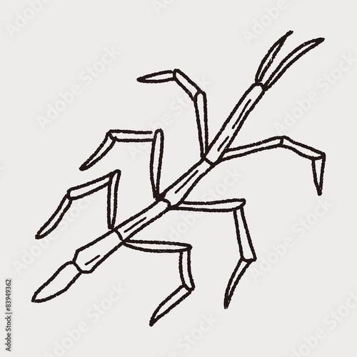 Stick insect doodle