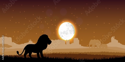 Fototapeta Naklejka Na Ścianę i Meble -  Lion in the evening. Vector