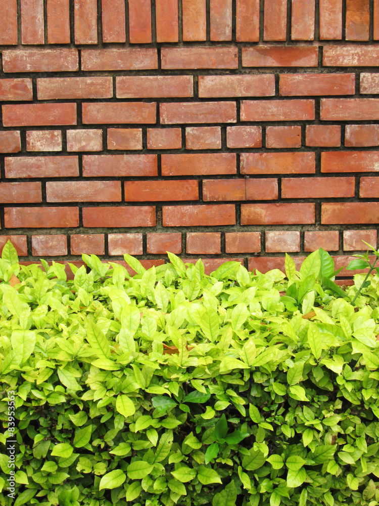 red brick wall background with green leaves red brick wall background with green leaves