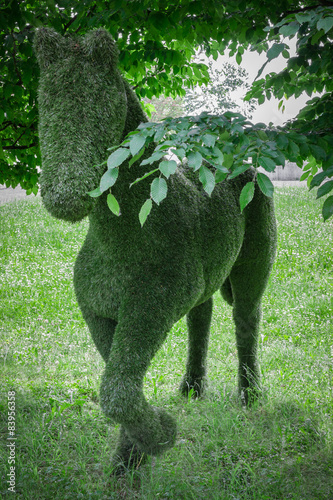 Horse hedge