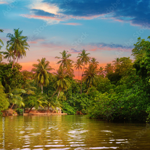 river  beautiful sunrise and tropical palms