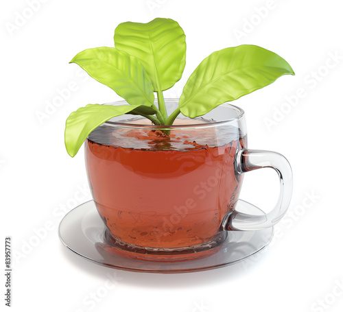 Cup of tea with leaves