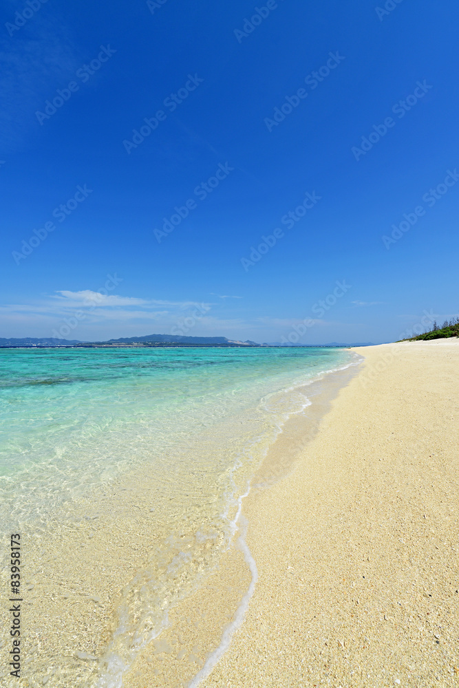 Fototapeta premium 美しい海とさわやかな空