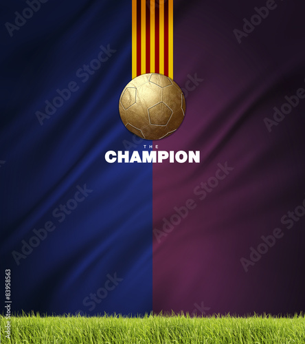 Photography the champions football background