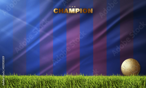 the champions football background