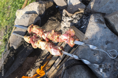 Roasted meat on bonfire