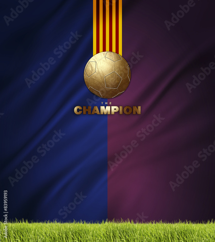 the champions football background