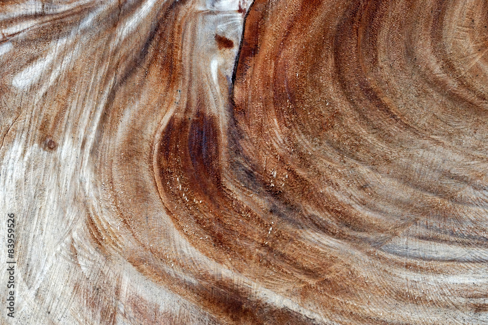 Obraz premium texture of wood