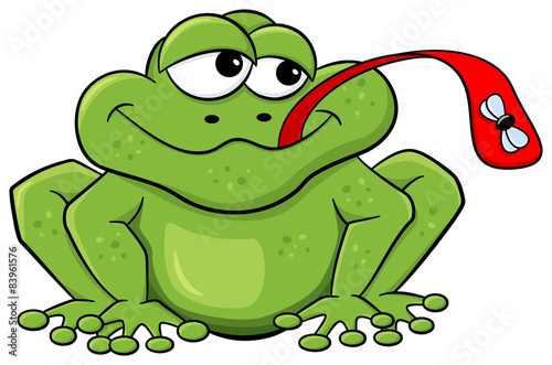 Frosch fängt eine Fliege mit der Zunge 