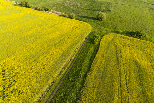 Aerial view on yellow fields