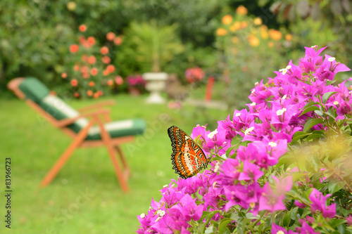Fototapeta Naklejka Na Ścianę i Meble -  Garten 362