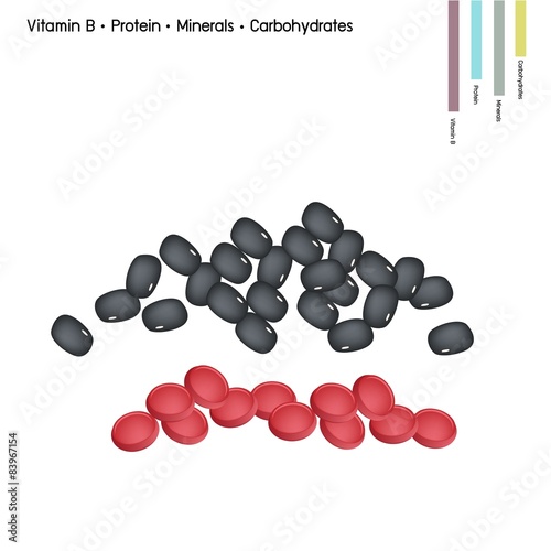 Kidney Bean with Vitamin B, Protein, Minerals and Carbohydrates