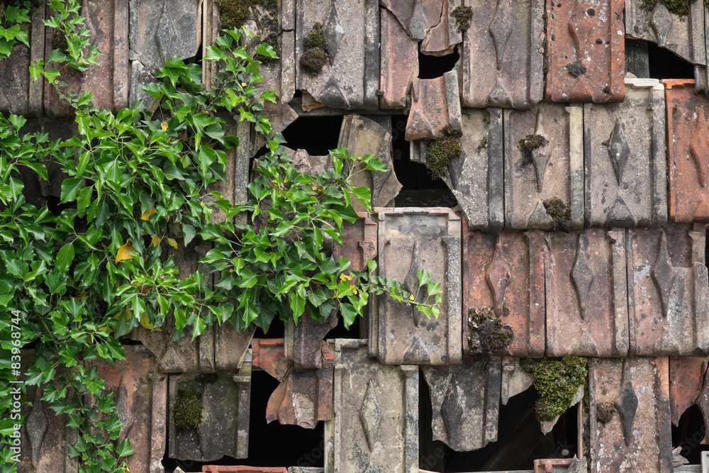 Ziegel Stock Photo Adobe Stock